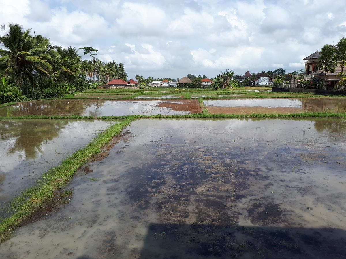 Kirani By Mahaputra-chse Certified विला Ubud (Bali)