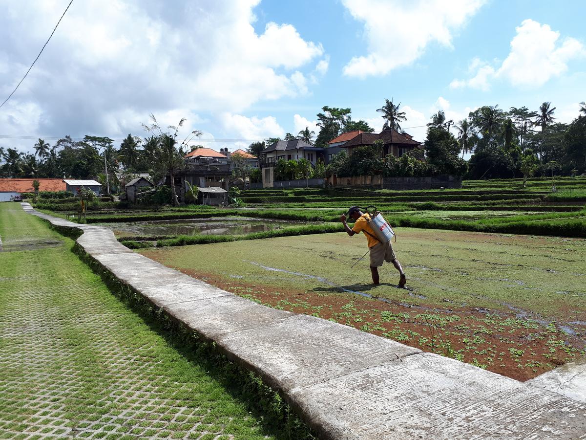 Villa Kirani By Mahaputra-chse Certified